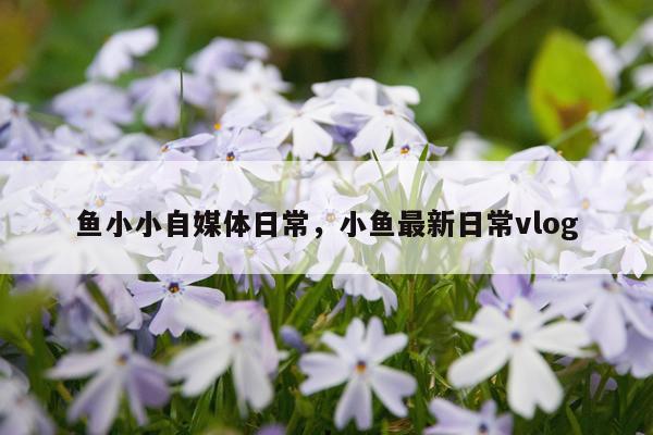 鱼小小自媒体日常，小鱼最新日常vlog