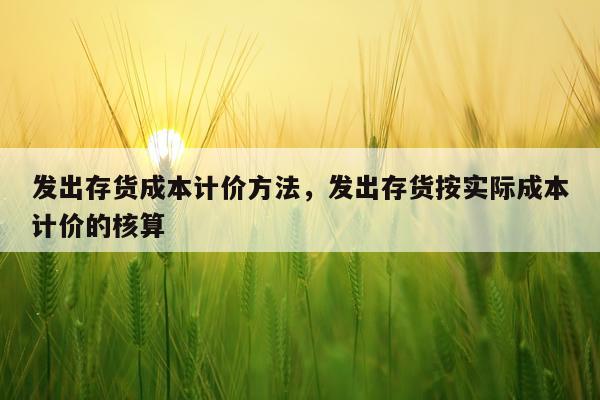 发出存货成本计价方法，发出存货按实际成本计价的核算