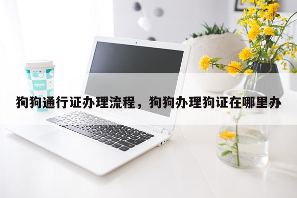 狗狗通行证办理流程，狗狗办理狗证在哪里办