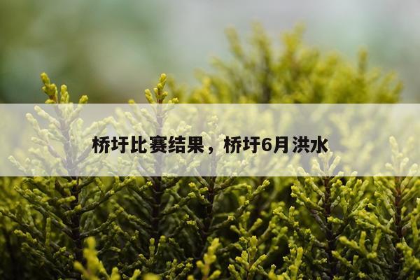 桥圩比赛结果，桥圩6月洪水