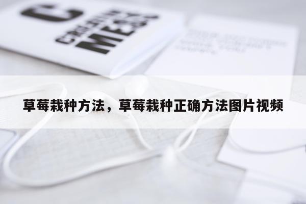 草莓栽种方法，草莓栽种正确方法图片视频