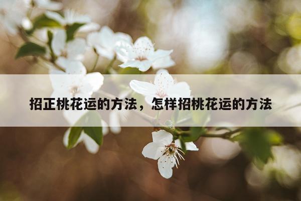 招正桃花运的方法，怎样招桃花运的方法