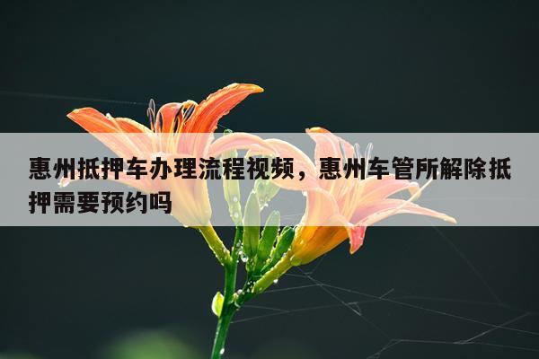 惠州抵押车办理流程视频，惠州车管所解除抵押需要预约吗