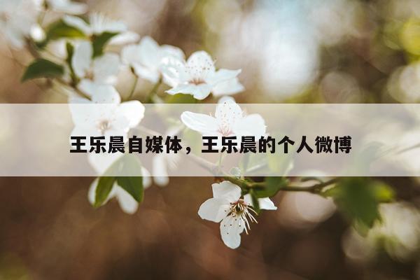 王乐晨自媒体，王乐晨的个人微博
