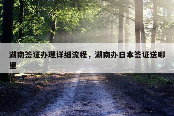 湖南签证办理详细流程，湖南办日本签证送哪里