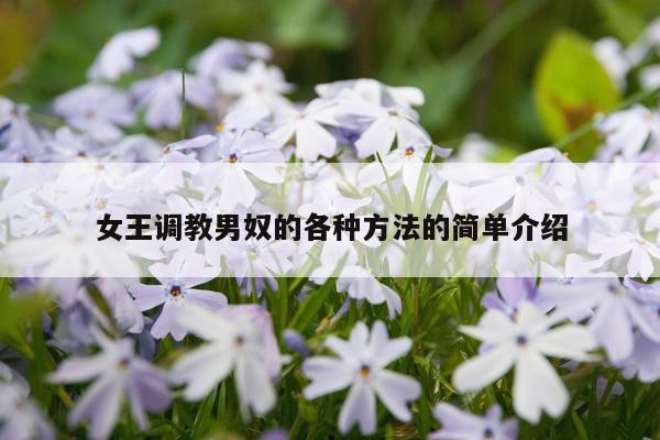 女王调教男奴的各种方法的简单介绍