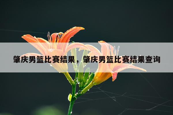 肇庆男篮比赛结果，肇庆男篮比赛结果查询