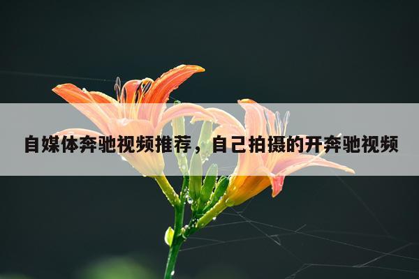 自媒体奔驰视频推荐，自己拍摄的开奔驰视频