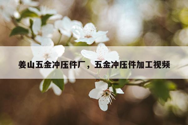 姜山五金冲压件厂，五金冲压件加工视频