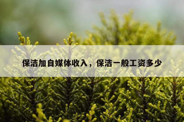 保洁加自媒体收入，保洁一般工资多少