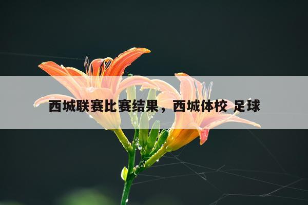 西城联赛比赛结果，西城体校 足球
