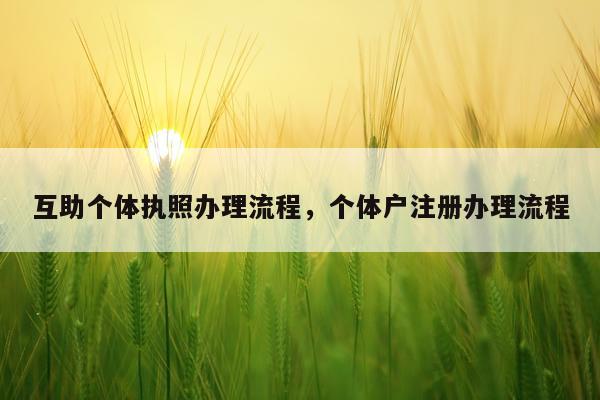 互助个体执照办理流程，个体户注册办理流程
