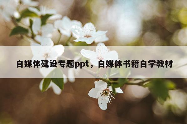 自媒体建设专题ppt，自媒体书籍自学教材