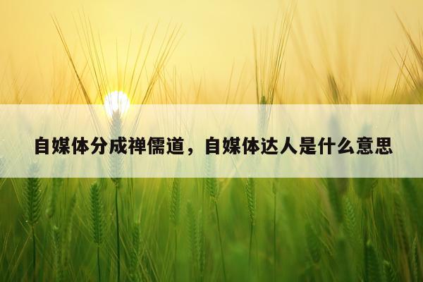 自媒体分成禅儒道，自媒体达人是什么意思
