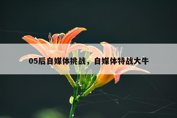 05后自媒体挑战，自媒体特战大牛