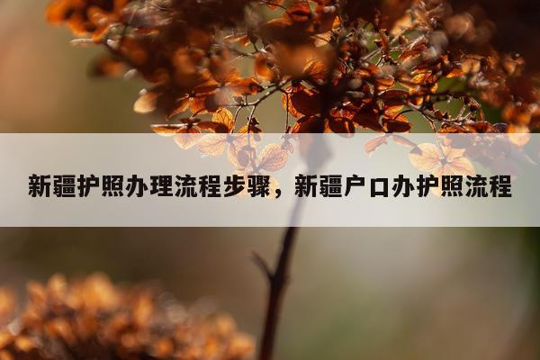新疆护照办理流程步骤，新疆户口办护照流程