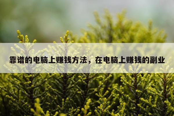 靠谱的电脑上赚钱方法，在电脑上赚钱的副业
