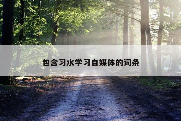 包含习水学习自媒体的词条
