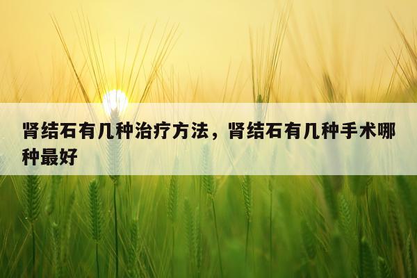 肾结石有几种治疗方法，肾结石有几种手术哪种最好