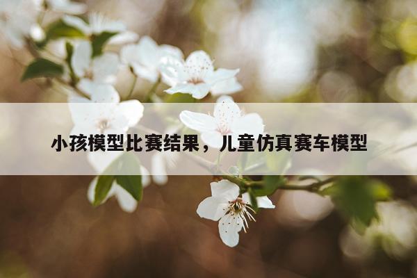 小孩模型比赛结果，儿童仿真赛车模型
