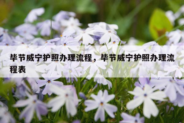 毕节威宁护照办理流程，毕节威宁护照办理流程表