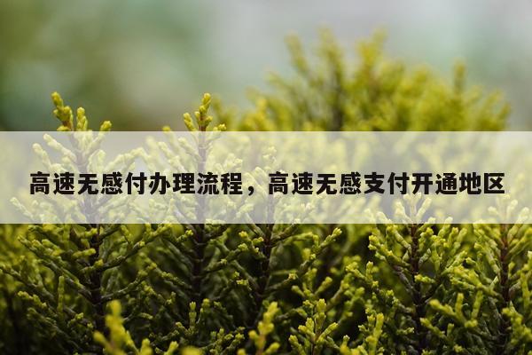 高速无感付办理流程，高速无感支付开通地区