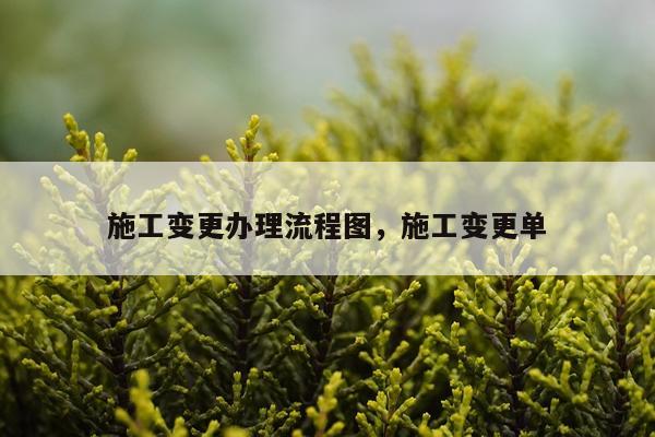 施工变更办理流程图，施工变更单