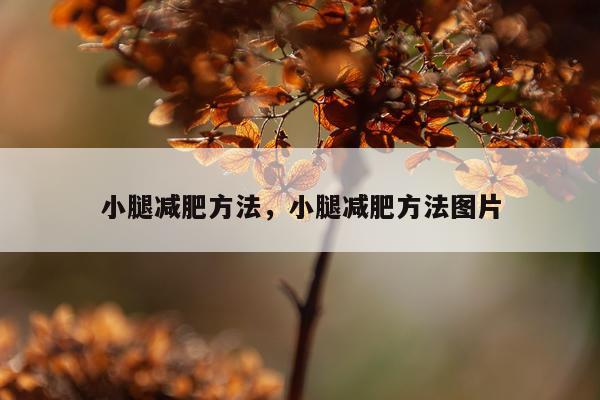 小腿减肥方法，小腿减肥方法图片