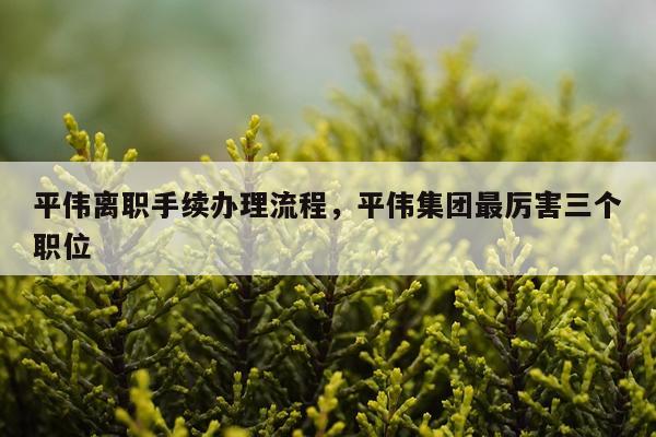 平伟离职手续办理流程，平伟集团最厉害三个职位