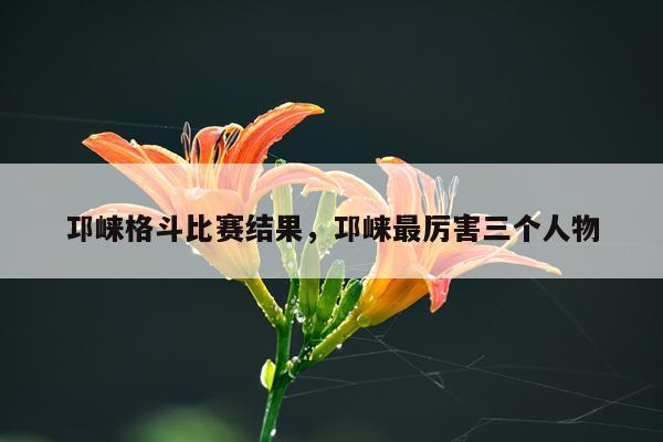 邛崃格斗比赛结果，邛崃最厉害三个人物
