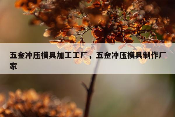五金冲压模具加工工厂，五金冲压模具制作厂家