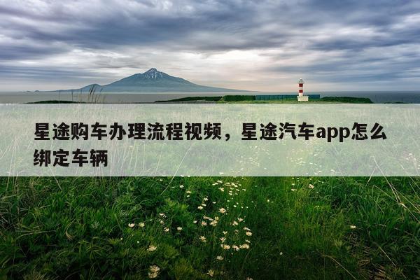 星途购车办理流程视频，星途汽车app怎么绑定车辆
