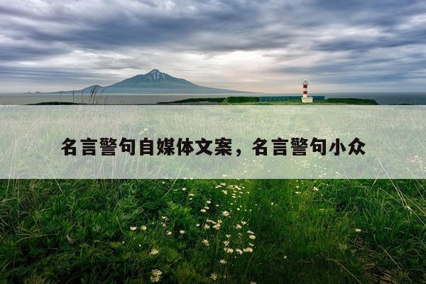 名言警句自媒体文案，名言警句小众