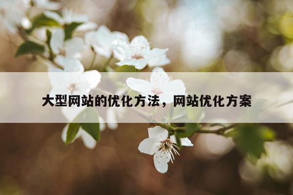 大型网站的优化方法，网站优化方案