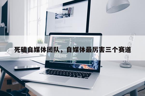 死磕自媒体团队，自媒体最厉害三个赛道