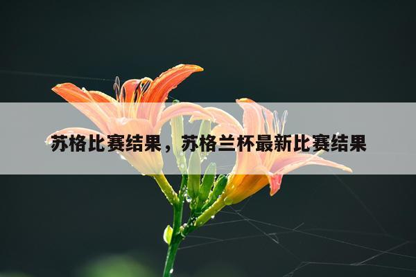 苏格比赛结果，苏格兰杯最新比赛结果