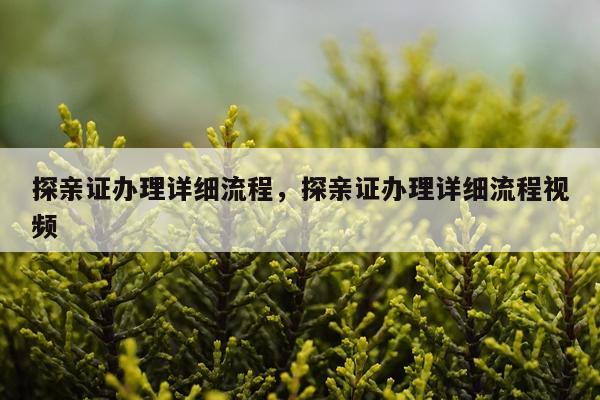 探亲证办理详细流程，探亲证办理详细流程视频