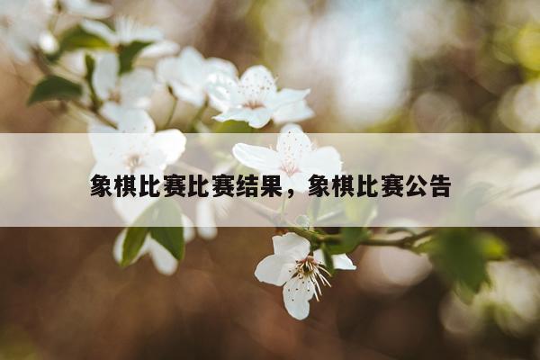 象棋比赛比赛结果，象棋比赛公告