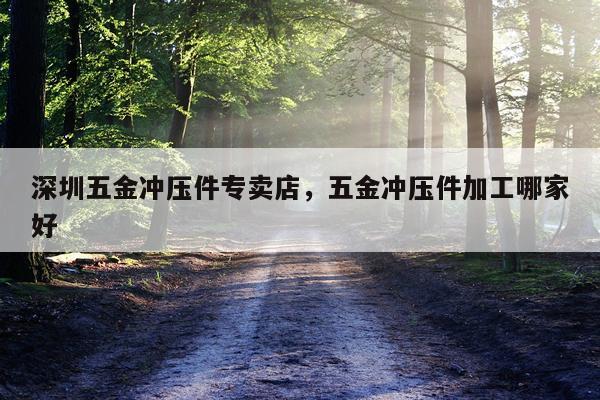 深圳五金冲压件专卖店，五金冲压件加工哪家好