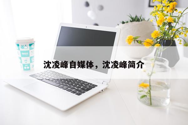 沈凌峰自媒体，沈凌峰简介