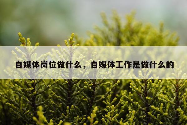 自媒体岗位做什么，自媒体工作是做什么的