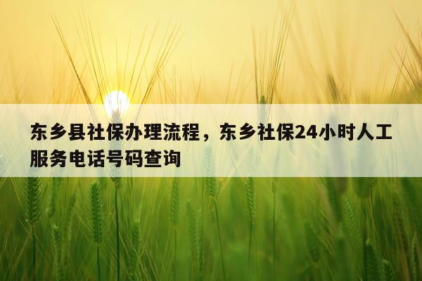 东乡县社保办理流程，东乡社保24小时人工服务电话号码查询