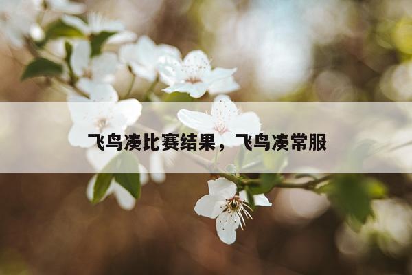 飞鸟凑比赛结果，飞鸟凑常服