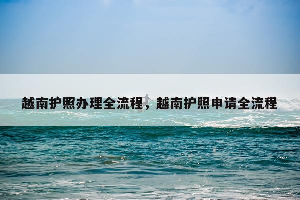 越南护照办理全流程，越南护照申请全流程