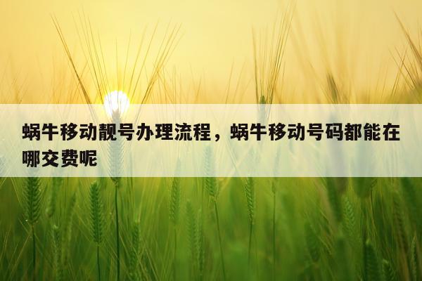 蜗牛移动靓号办理流程，蜗牛移动号码都能在哪交费呢