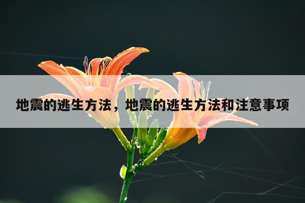 地震的逃生方法，地震的逃生方法和注意事项