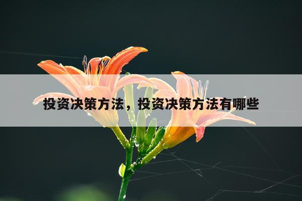投资决策方法，投资决策方法有哪些