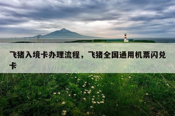 飞猪入境卡办理流程，飞猪全国通用机票闪兑卡