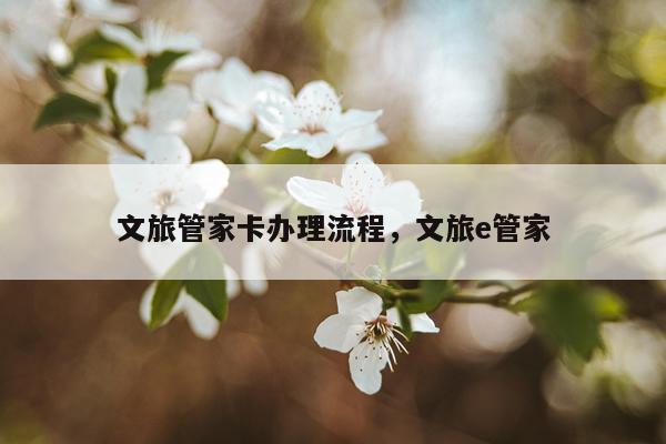 文旅管家卡办理流程，文旅e管家