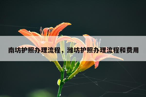 南坊护照办理流程，潍坊护照办理流程和费用